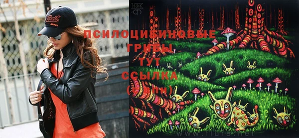 гашиш Покачи