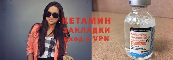 шишки Переславль-Залесский