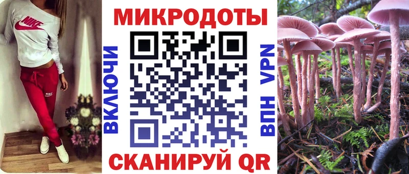 Псилоцибиновые грибы Cubensis  Купить закладки  Щёлкино 