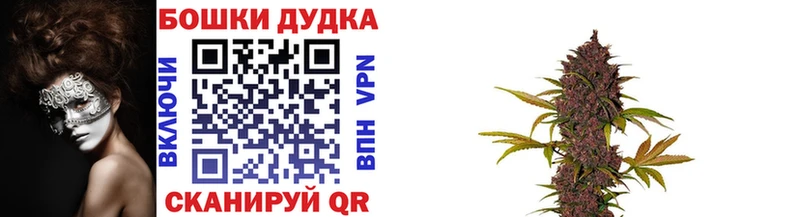 Бошки Шишки планчик  Купить где  Щёлкино 